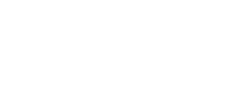 NP-Hotels Logo weiss